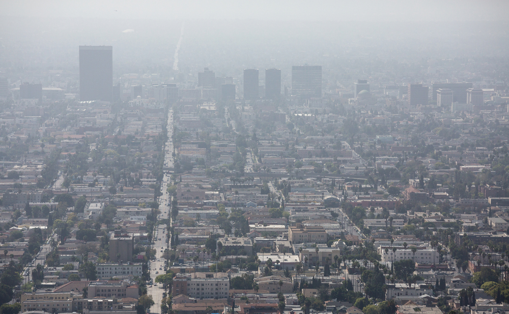 Air Pollution: Confronting the Crisis in Health
