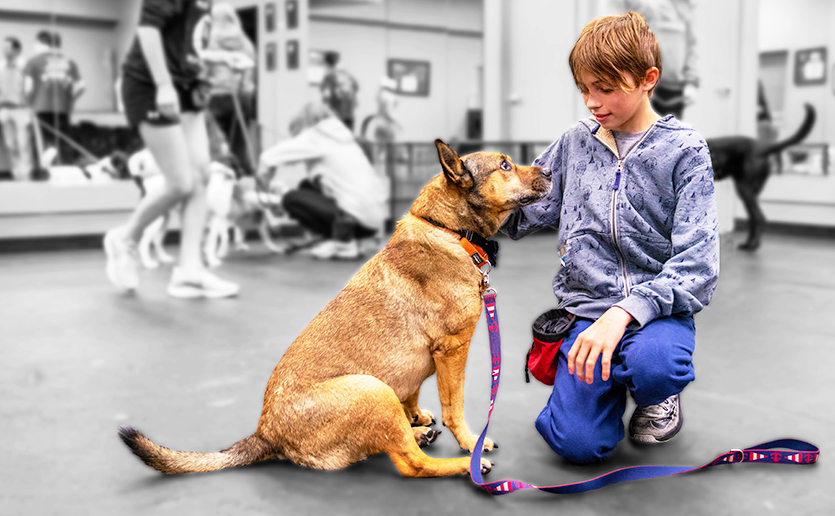 Youths with Epilepsy Make (Four-Legged) Friends